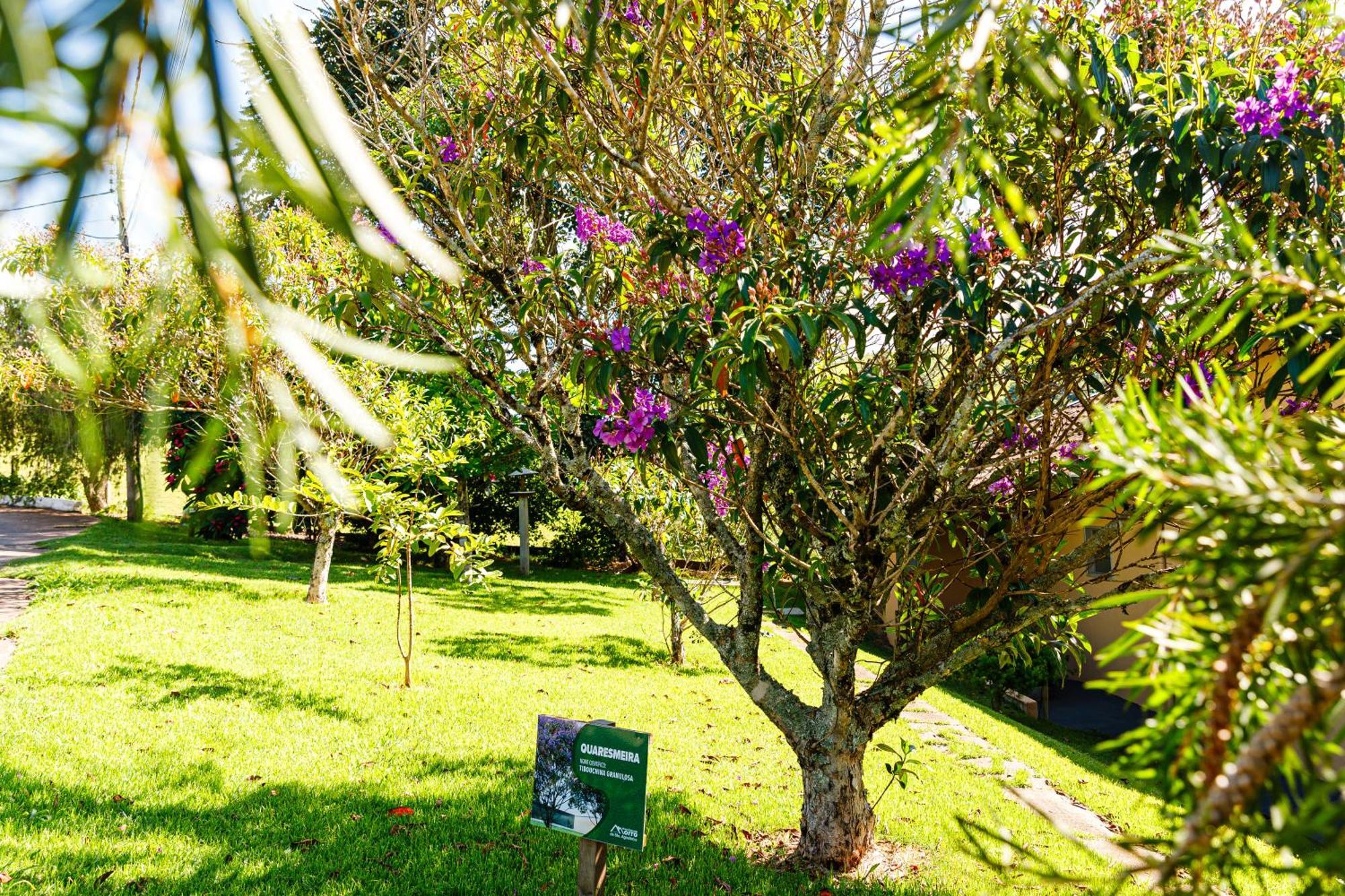 Hotel Morro De Santo Agostinho Lindóia 外观 照片